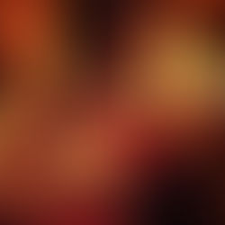 L'Asie vous manque? Envie d'une touche asiatique à Fribourg? un restaurant au top