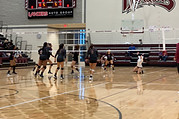 VB.jpg