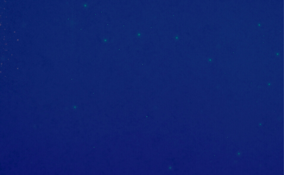 Lady G Background.png