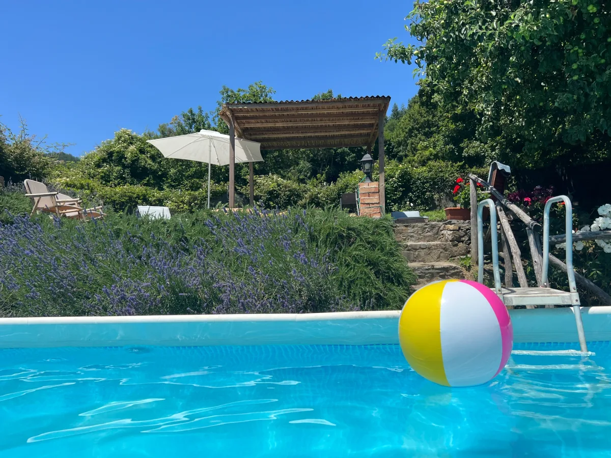 The pool and garden