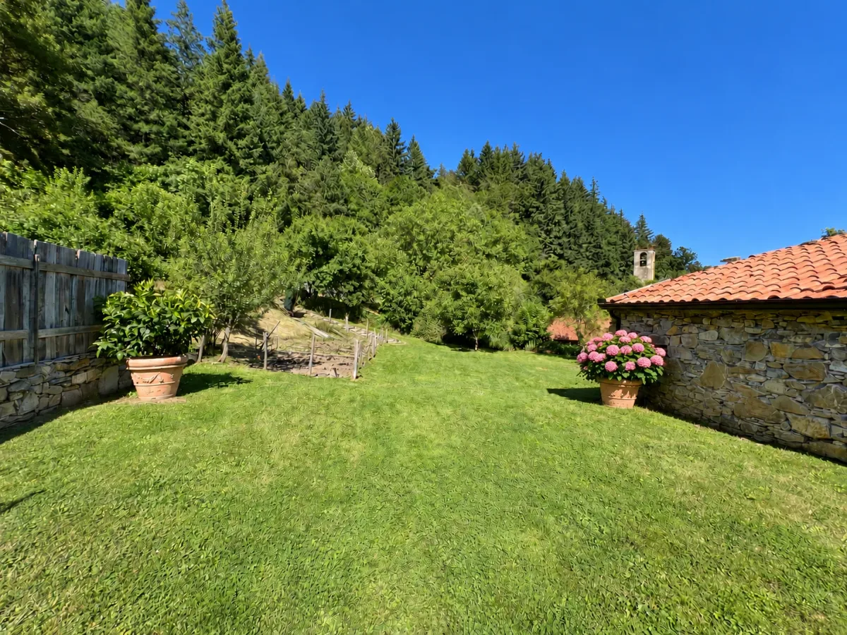 Green spaces around the house