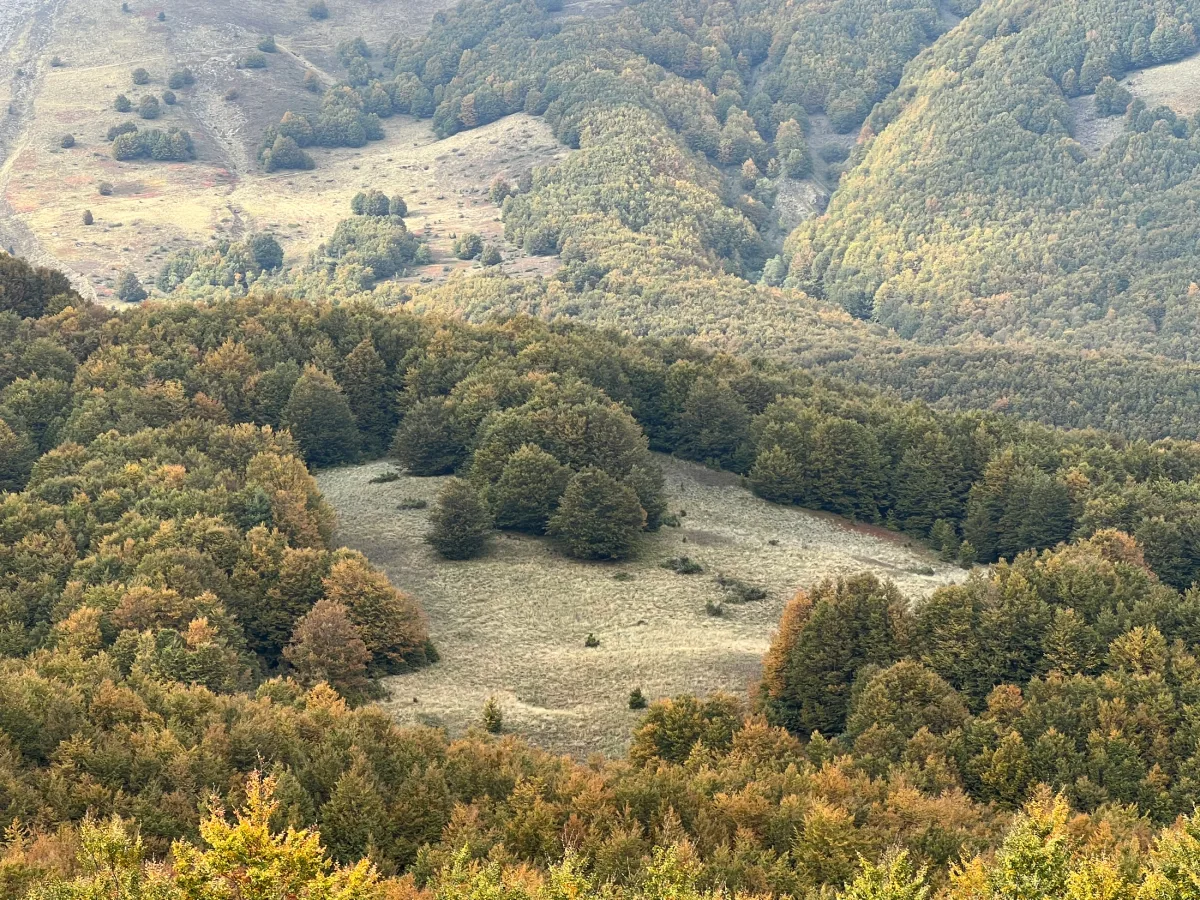 Toskanisch-Emilianischer Apennin — Herbstfarben
