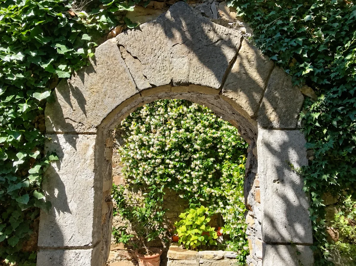 A doorway into the greenery