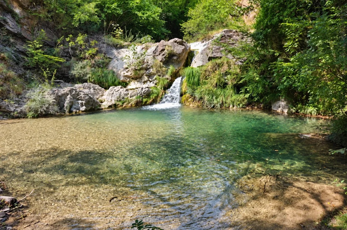 Clear water and rocks