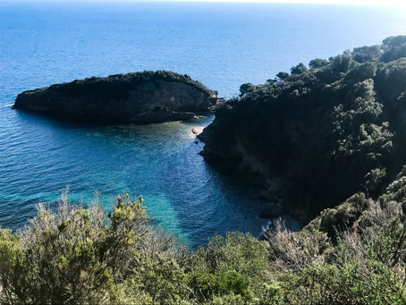 Ready to Dream your Vacation in Tuscany Elba Island ?