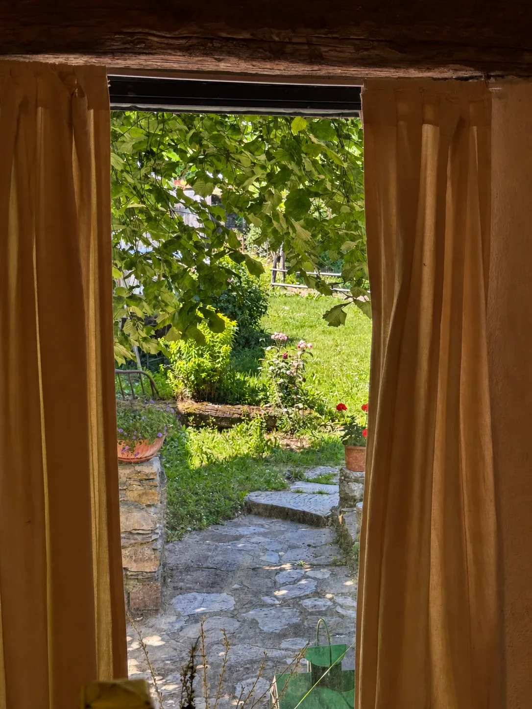 Garden view