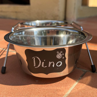 dog bowl - pet friendly holiday house
