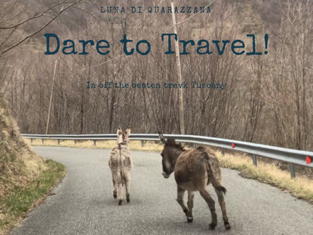Wild Donkeys in Quarazzana