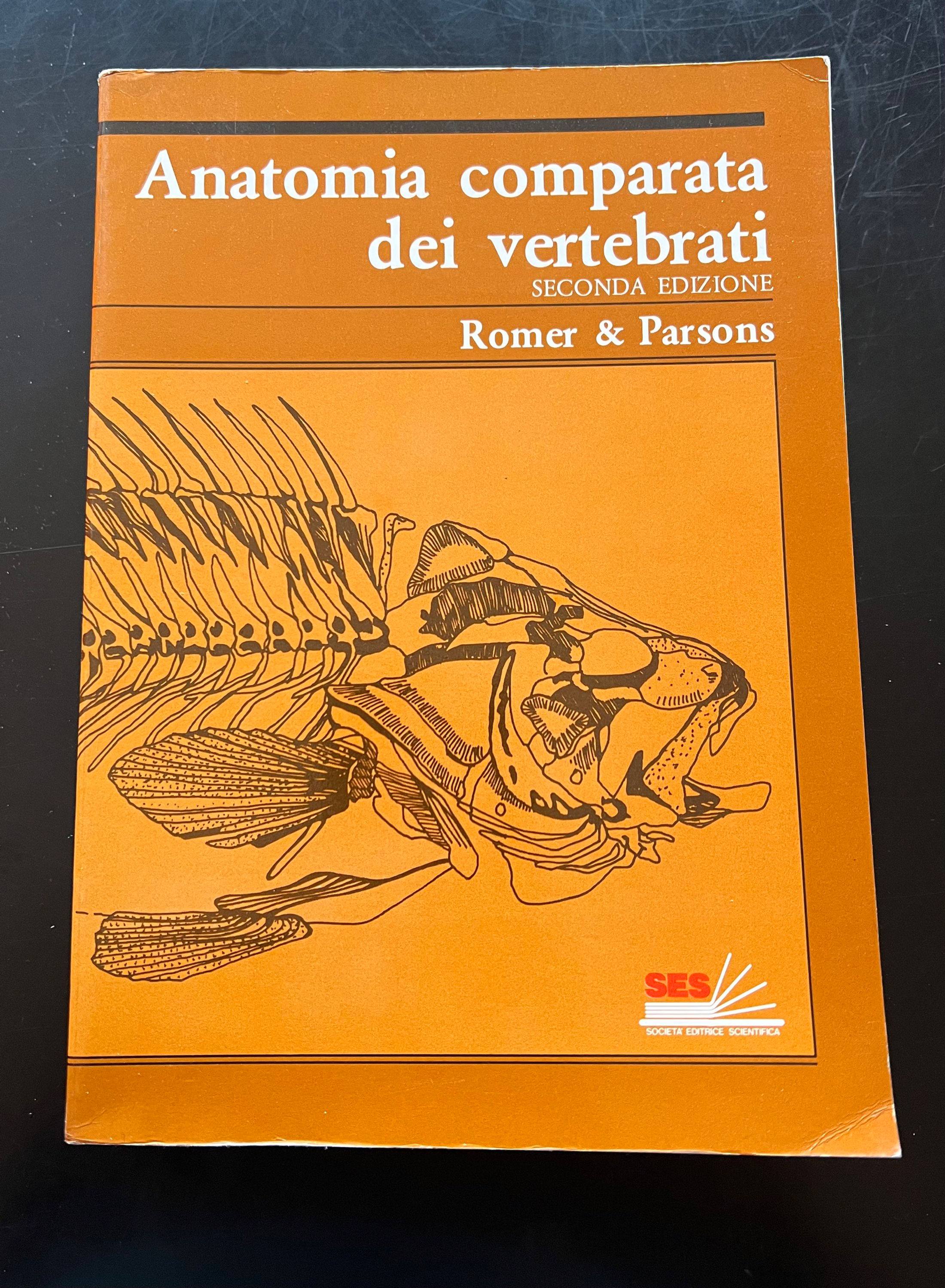 Anatomia comparata dei vertebrati Romer & Parson 