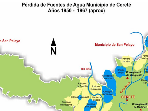 CAÑO BUGRE, NO ES EL RIO  SINÚ PARA DESCAPOTAR  UNA  MÁQUINA  ANFIBIA