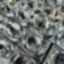 high quality image.jpg