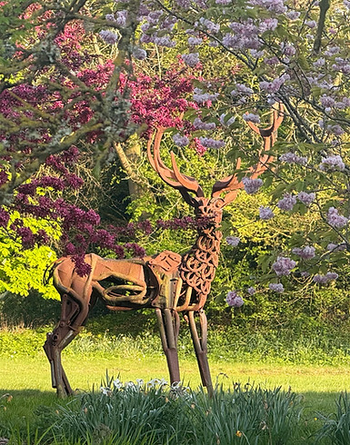 IMG_0893.jpeg