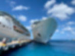 Cruise Ship Security Reviewby Convergence SC