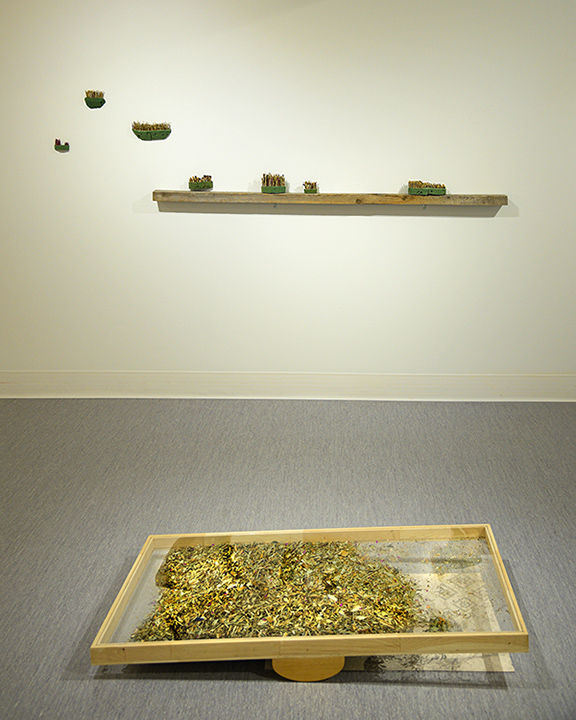 Vos condoléances, 2025, cadre de bois : 25 x 46 ½ pouces Bois, plexiglass, mousse et fleurs séchées