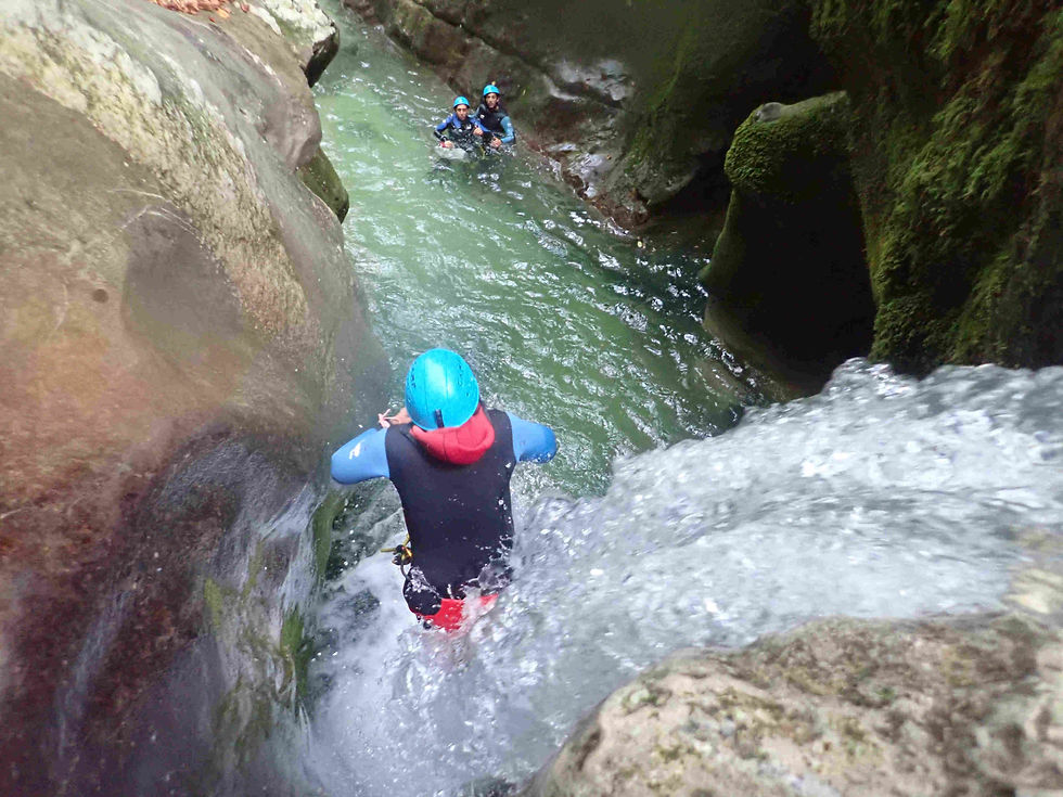 furon-haut 10.JPG