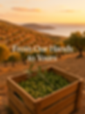 ChatGPT Image Apr 15, 2025, 03_16_45 PM.png