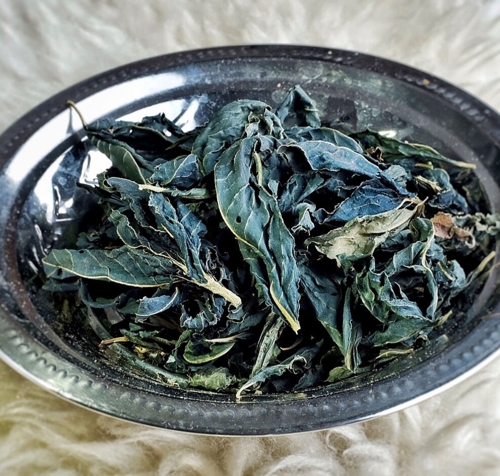 Dry leaves of indigo parsley