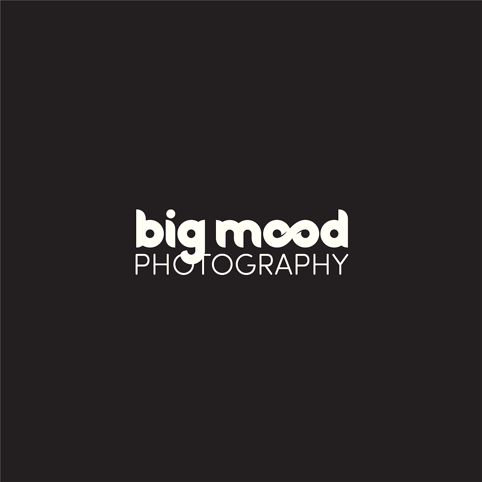 Big-Mood-Photography-Logo-Portfolio.png