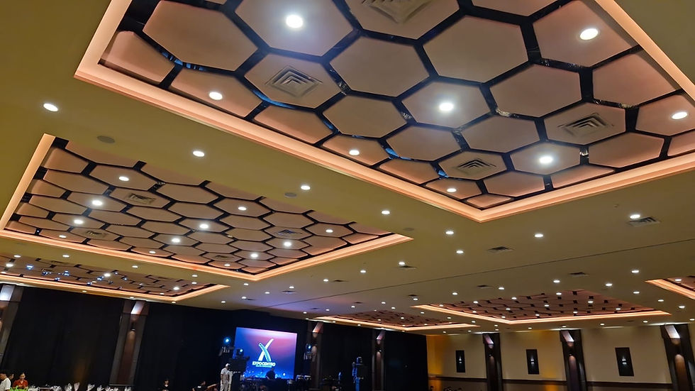 Alt Techo Comercial Iluminacion