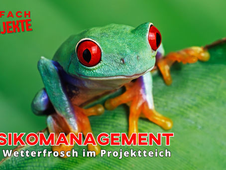Risikomanagement: Der Wetterfrosch im Projektteich