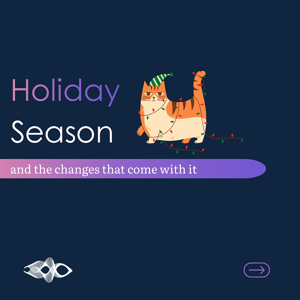 Holiday Seasonal Changes