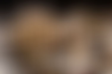 Este podría ser el año más violento en la entidad: OCT