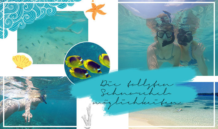 Die tollsten Schnorchelmöglichkeiten