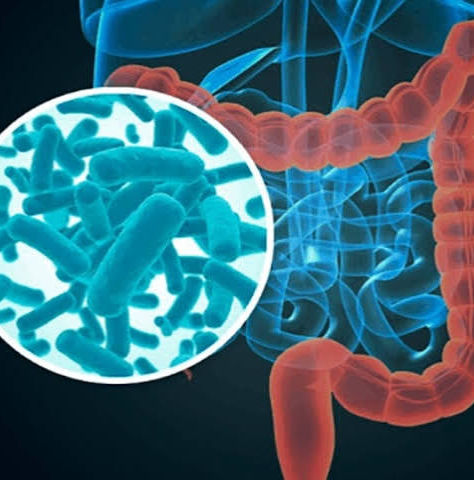 Microbiota intestinal y plantas medicinales chinas: la nueva frontera entre la ciencia y la Medicina Tradicional China