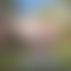 朝ヨガのススメ