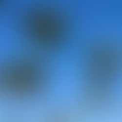 朝ヨガ、朝活の何がいいのか？