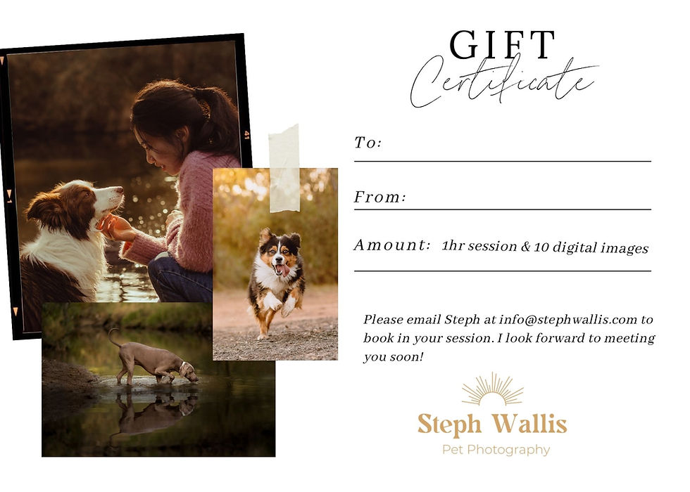 Thumbnail: FLOOF GIFT VOUCHER (INSTANT DOWNLOAD)