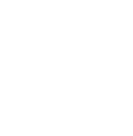 BonaVida-Icon_white.gif