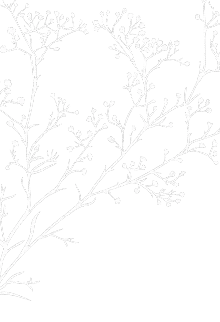 Zweige-white.webp
