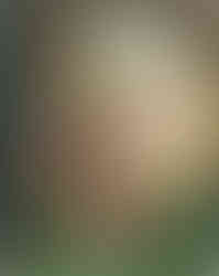 Book cover for "Master Ultima: Mystery, Magic, & Strategy" featuring the title in white and green block letters, over an image of the Avatar, the player character of the series, wearing armor, and holding a sword in one hand and an Ankh in the other, fighting a green dragon. Additional text reads "The Ultimate Coverage through Ultima VI. Success Strategies. Skill-building Clues."