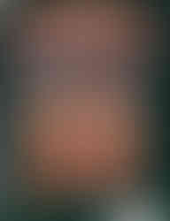 Book cover for "Conquests of the Longbow: The Legend of Robin Hood" Hint Book featuring the title written in calligraphy on two banners, and a picture of Robin Hood himself, standing, holding his longbow, against a backdrop of clouds.