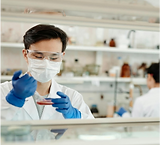 Rectangle 15 (10).png