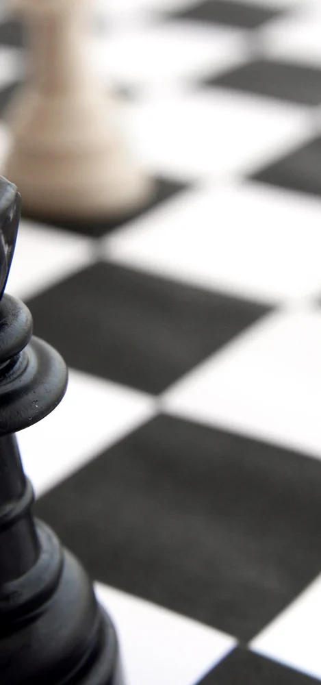 お客様の声 Chess For Japan お客様の声 Chess For Japan