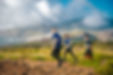 Madeira Orienteering Festival-2024-062©Associação Retoiça.jpg