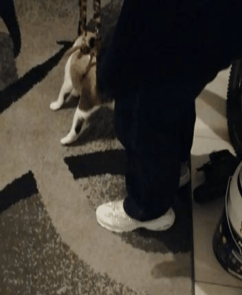 GIF-201005_212429.gif