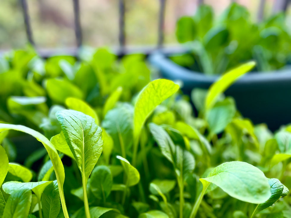 小さく整えて、大きく満たされる