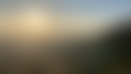 自然と調和する体のちから