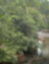 Flying over water and through the Belize Jungle!