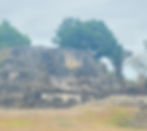 Climbing these Mayan temples felt like stepping back in time.