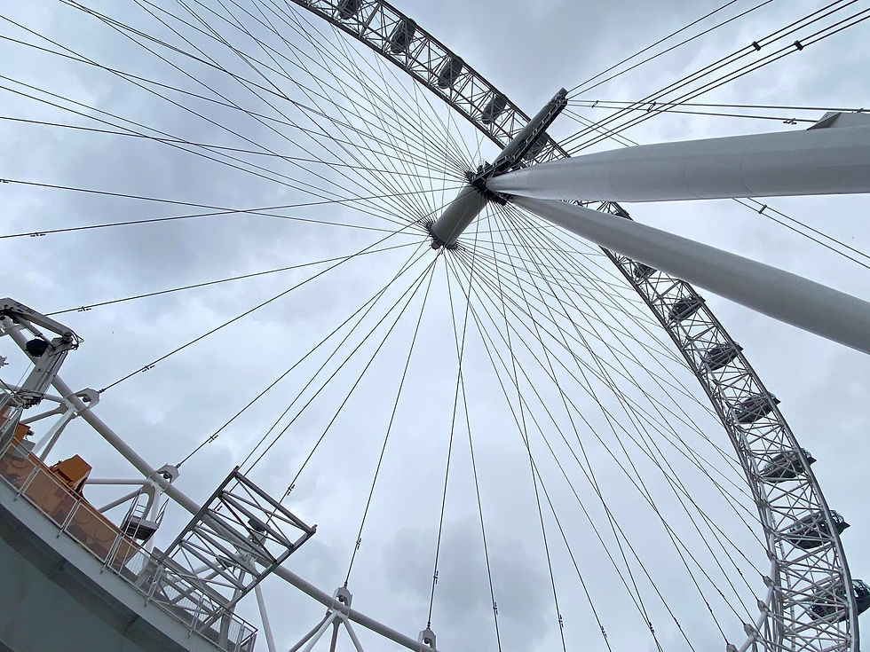 London Eye - Up above the Thames with skyline views and a heart full of wonder!