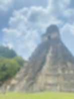 Standing at the base of Tikal's towering Temple IV felt unreal!