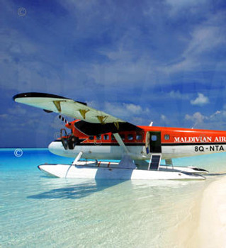 maldivian-air-taxi-seaplane-maldives.jpg