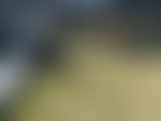 Cessna Citation III Crashes in Mexico, Killing Ten Near Toluca Airport