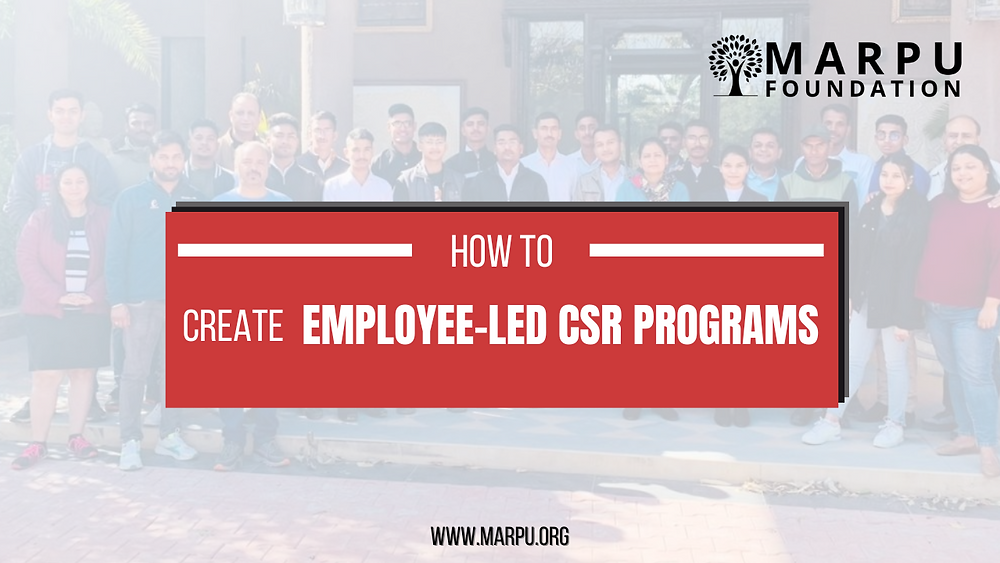 Dst Csr Program How to Create Employee-Led CSR Programs