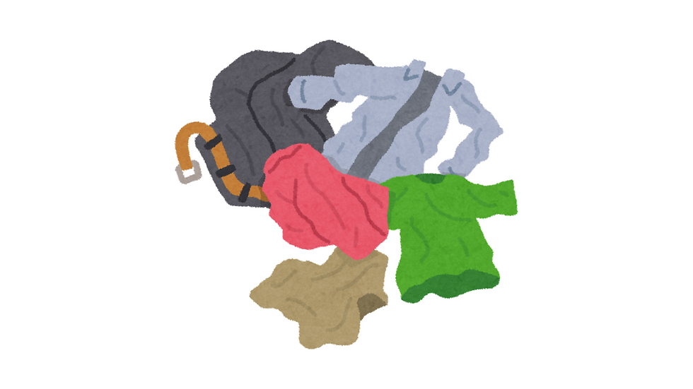 JCS 2.0-Services_ Organizing3-Clothing Purge-1c-Multicolored