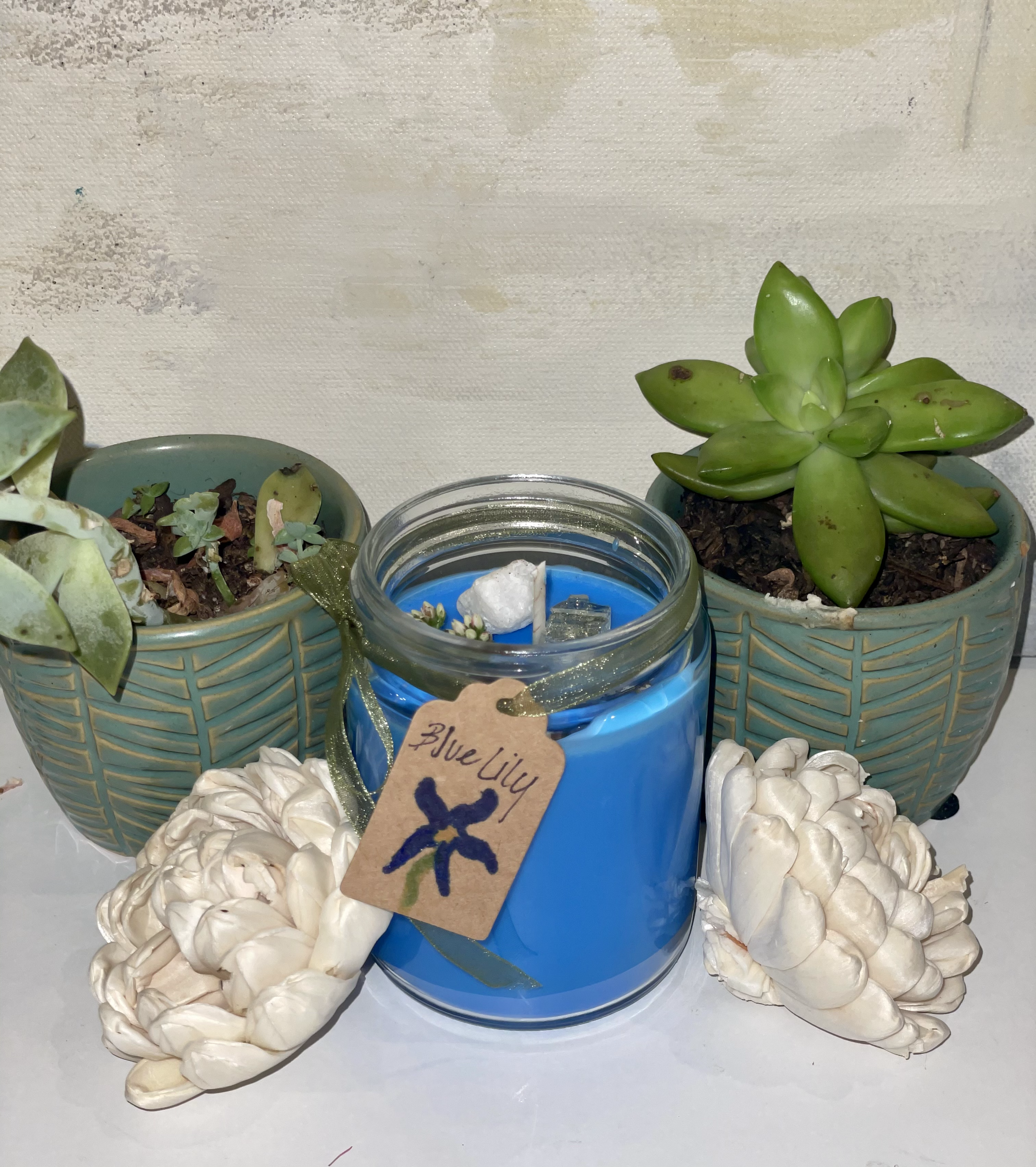 Blue Lily